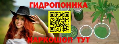 стаф Тулун