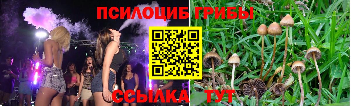 Чебаркуль  Галлюциногенные грибы Magic Shrooms  Вход с VPN 